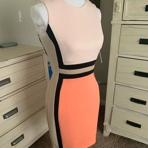 Women’s Calvin Klein Body hug Dress size 4P